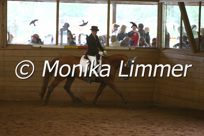 007L7841_La Bella_Dressur_A.JPG